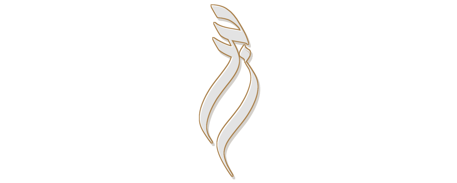 افراح ال المغربي