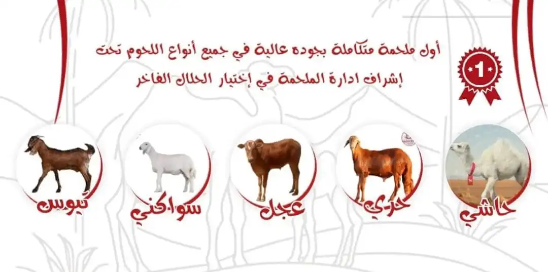 ملحمة حاشي علاء